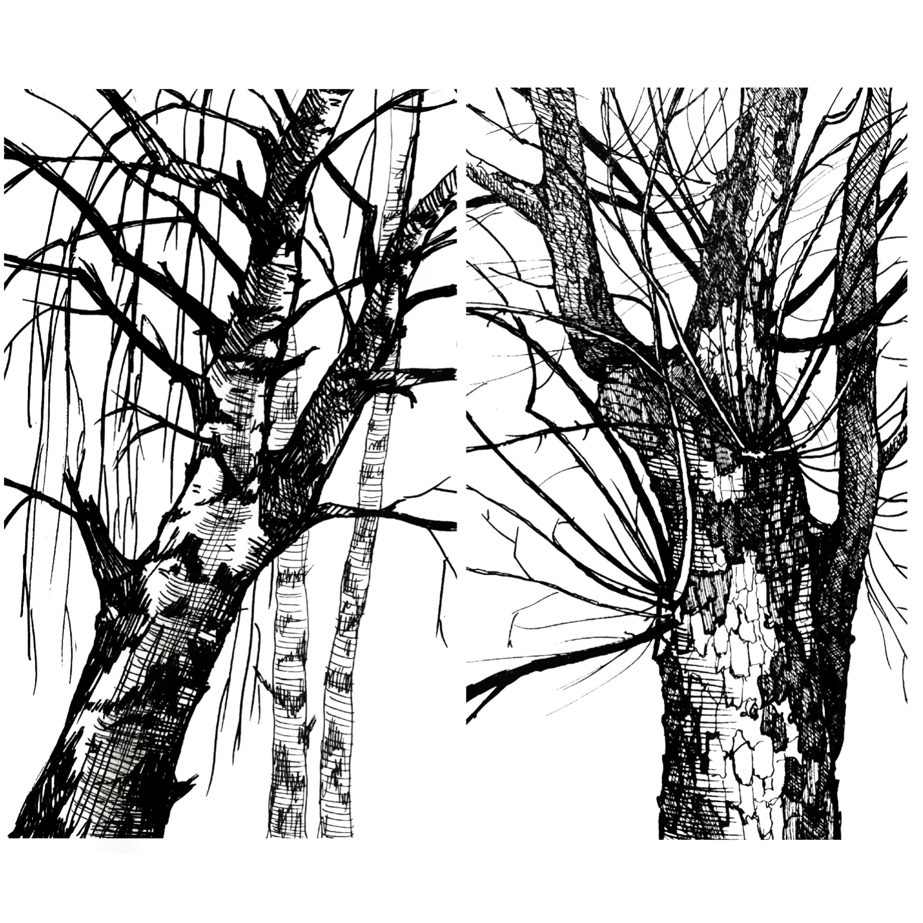 Пленэрные зарисовки