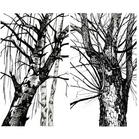 Пленэрные зарисовки