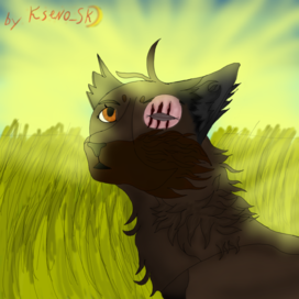 Безликая звезда