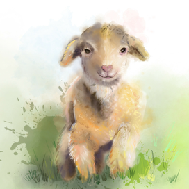 Встретил барашка в Альпах