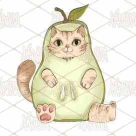 Котик груша 