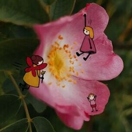 Маленькие люди 