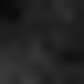 Летняя палитра