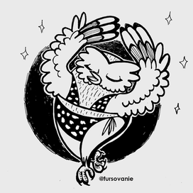 Летний сезон