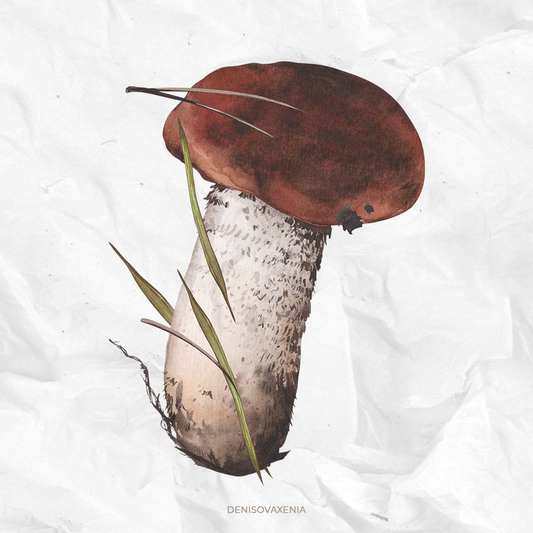 Гриб в траве