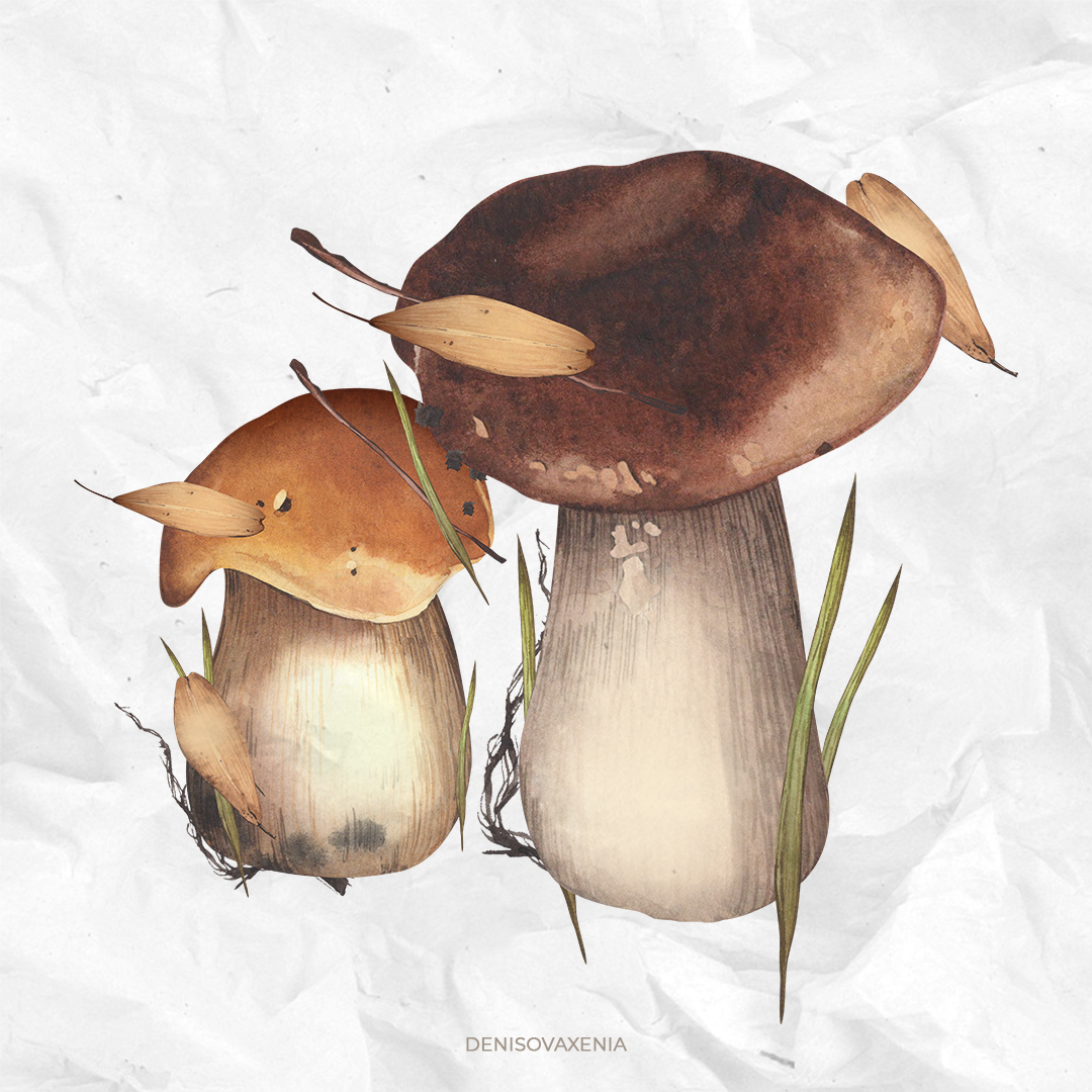 Грибы в траве