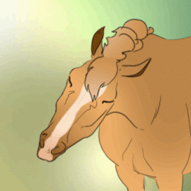 анимационный портрет