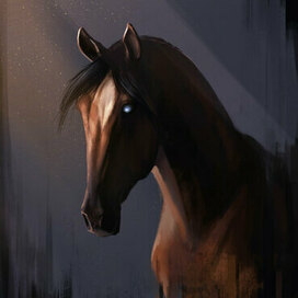 | Просто скетч лошади