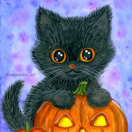 Котя с тыквой