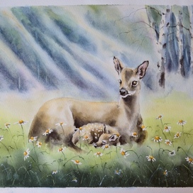 Сибирская косуля с детенышем 