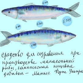 Рыба, приправа 