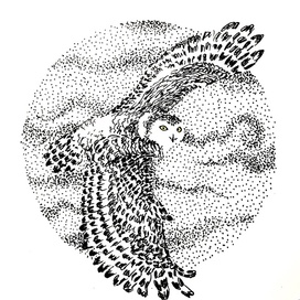 Полярная сова