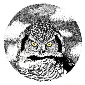 кроличий сыч