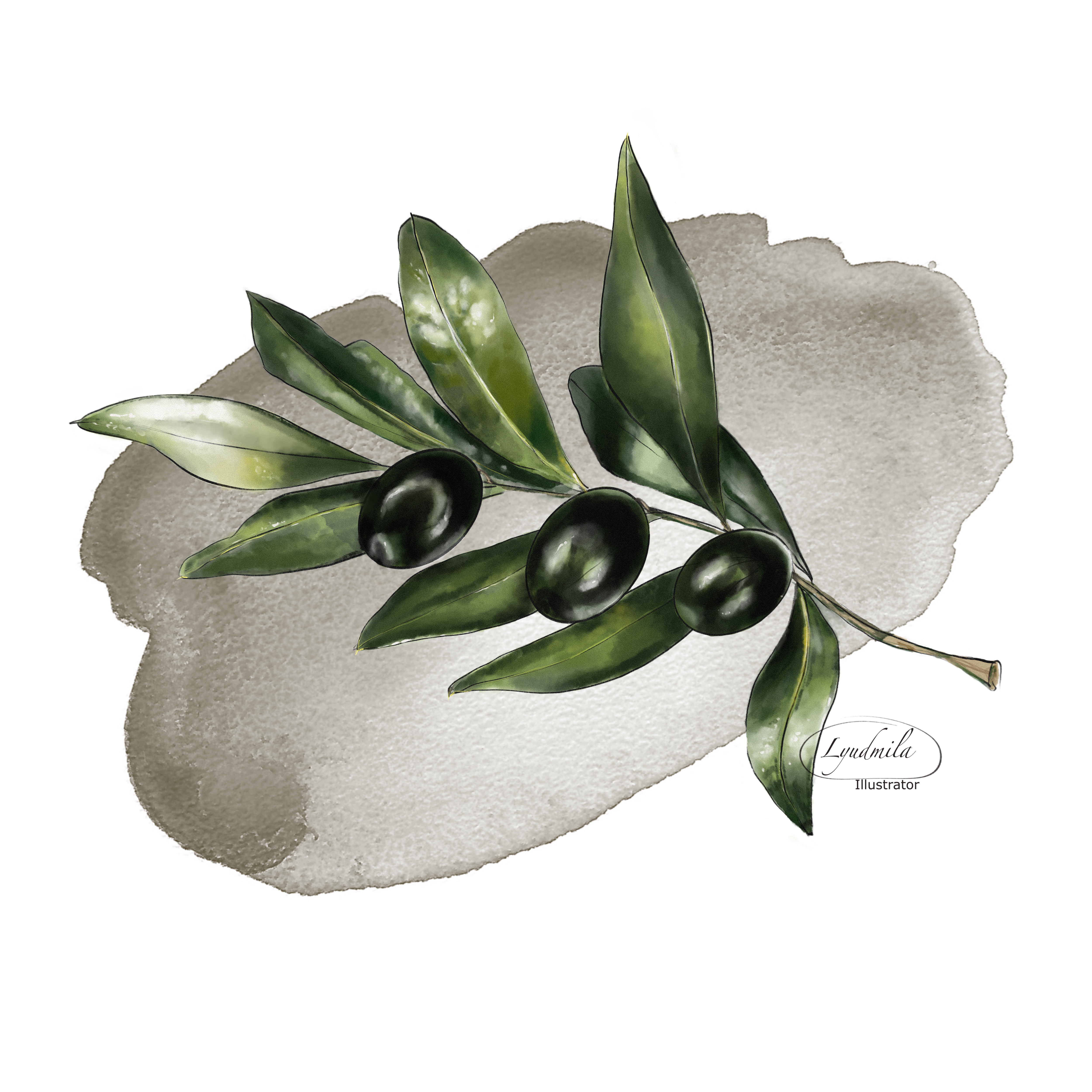 Ветка олива