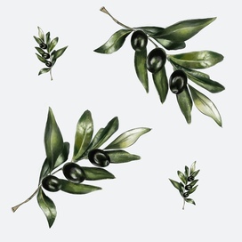 Паттерн олива