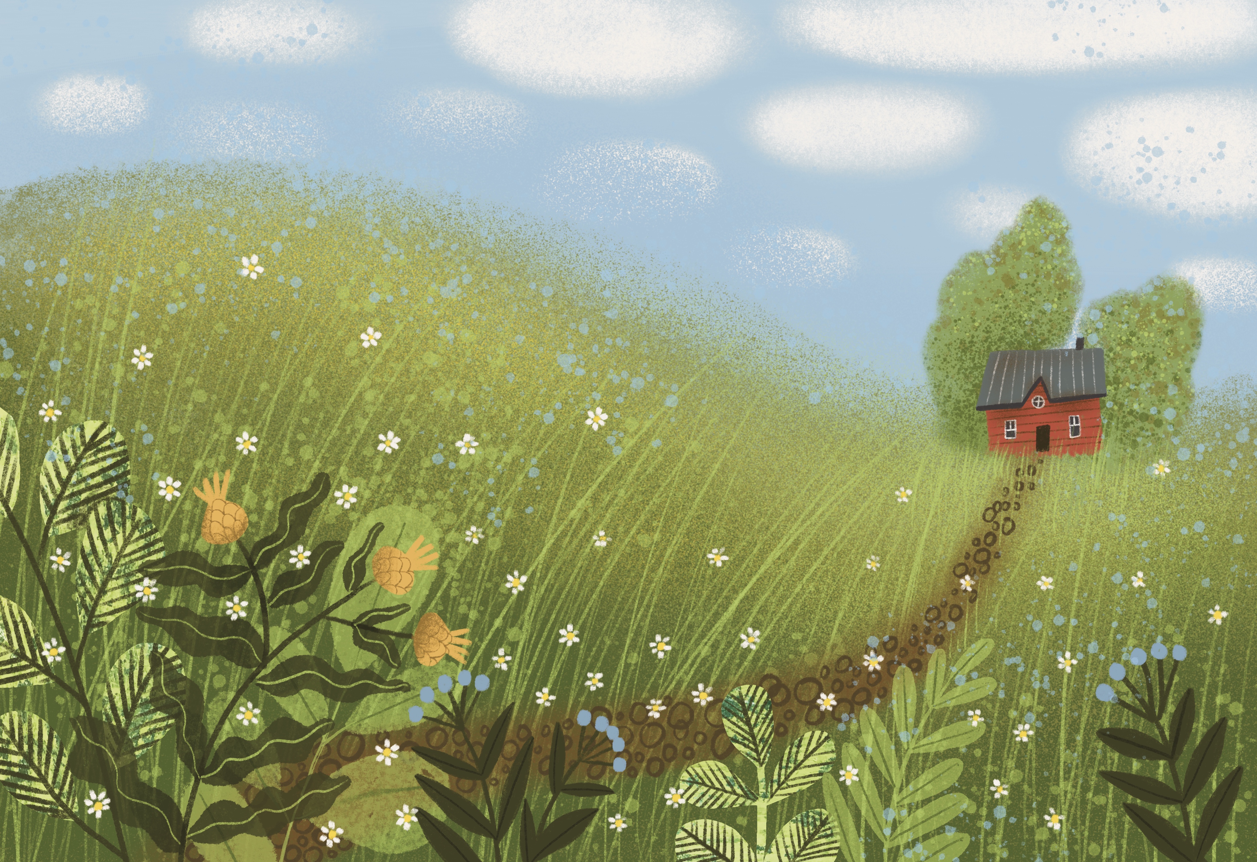 Сколько друзей у лошадки