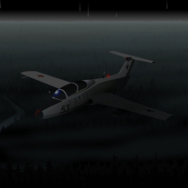 FCANo.18K "Л29" над ночным лесом в период звездопада.