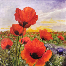 Долина маков