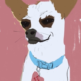 Моя собачка. Портрет