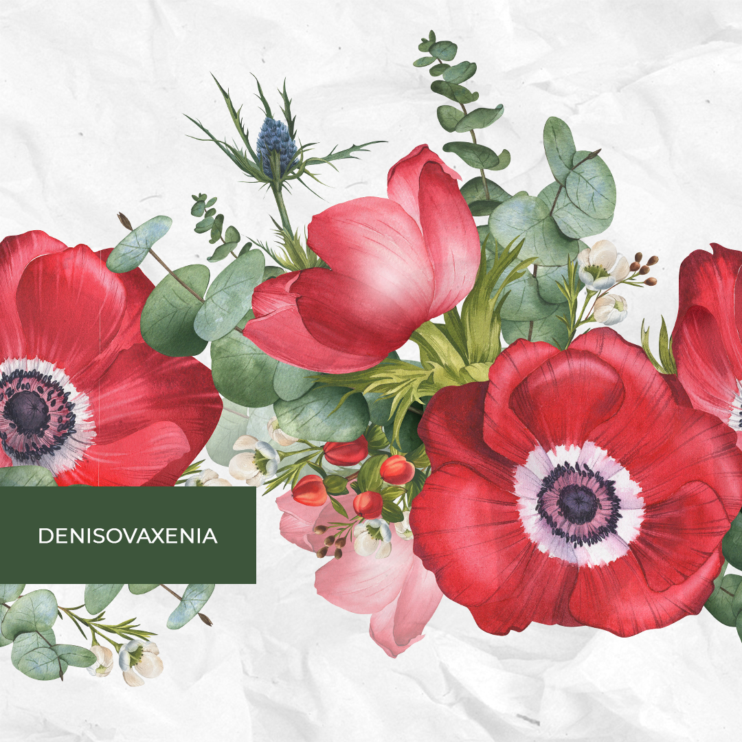 Букет из красных анемонов. Бесшовный паттерн.