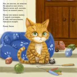 Грустный котик