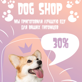 Реклама зоомагазина
