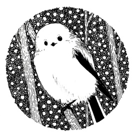 Ополовник (длиннохвостая синица)