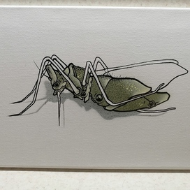 Kilo1 комарик