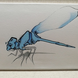 Kilo1 стрекоза