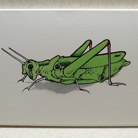 Kilo1 кузнечик