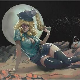 Полицейский контроль полетов 