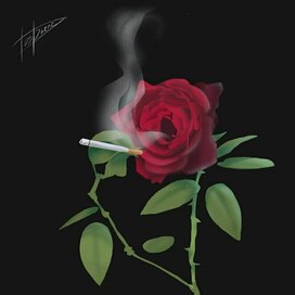 Smoking Rose