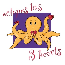 влюбленный осьминог