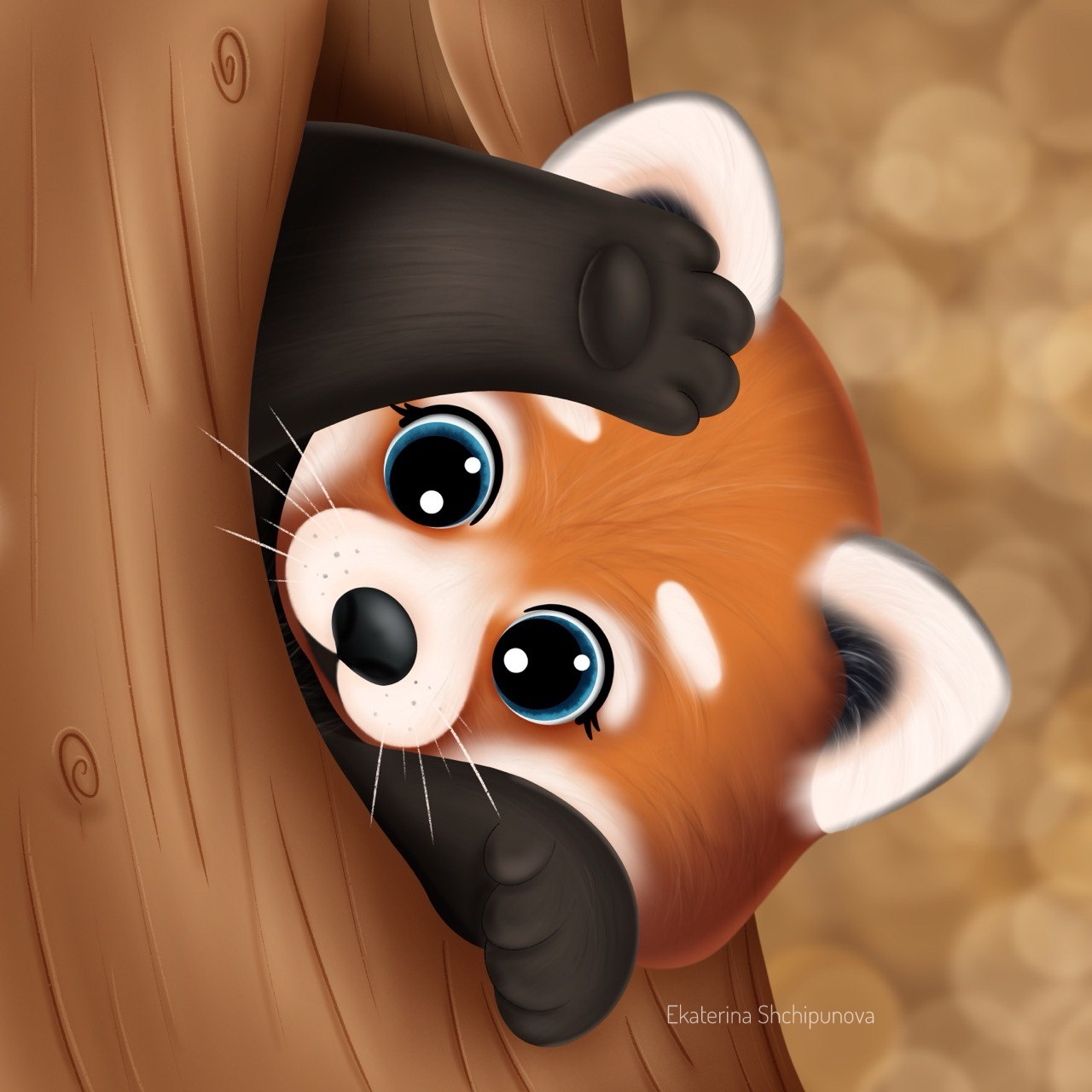 Красная панда