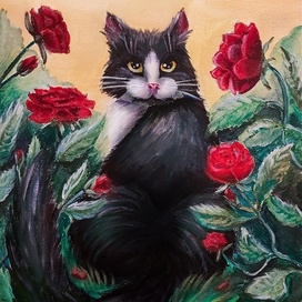 Кошка по имени Алиса