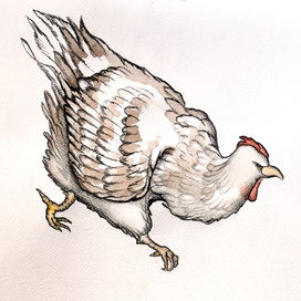 Иллюстрация