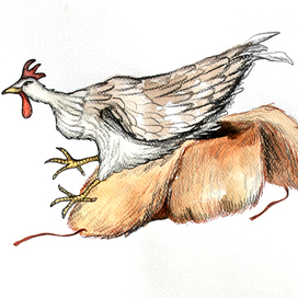 Иллюстрация