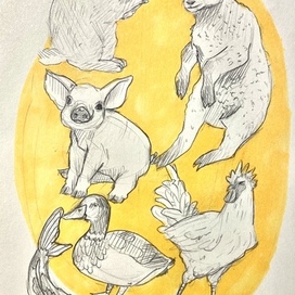 Домашние животные. Скетч