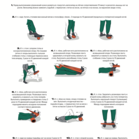 Комплекс упражнений