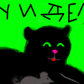 кот в шоке , от истории мышки !