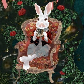 Белый кролик