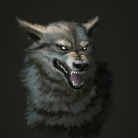 Коллекция - Дикие животные России 7 Волк