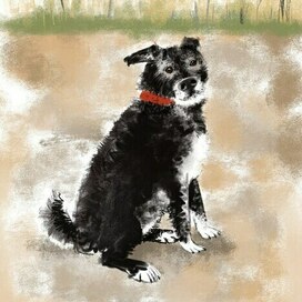 Мой собакен