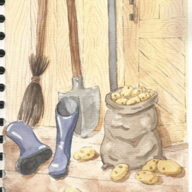 дачный натюрморт