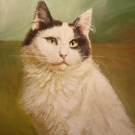 портрет кошки