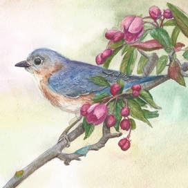 птица и цветы