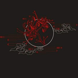 Паучья лилия