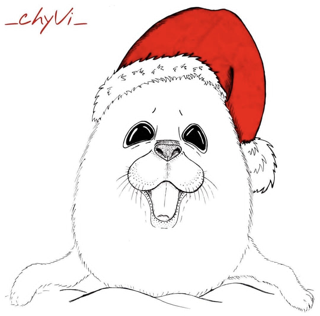 Новогодний котик