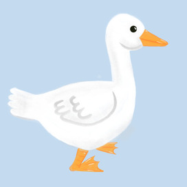 Гусь лапчатый 