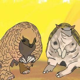 панголин и броненосец